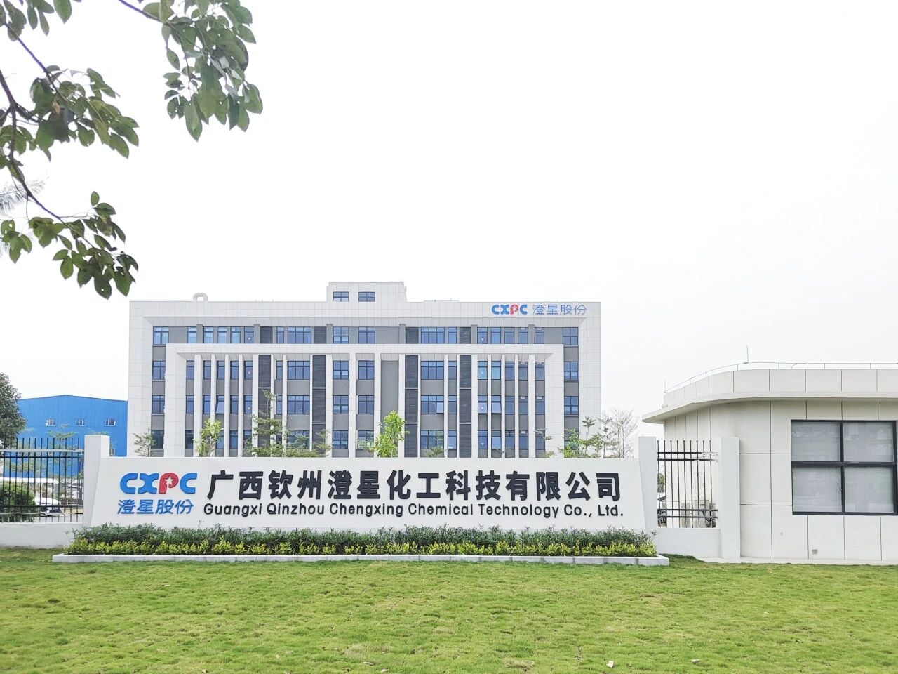 喜报 | 钦州宝运莱·(中国区)官方网站入选2025年度省级绿色供应链管理企业名单